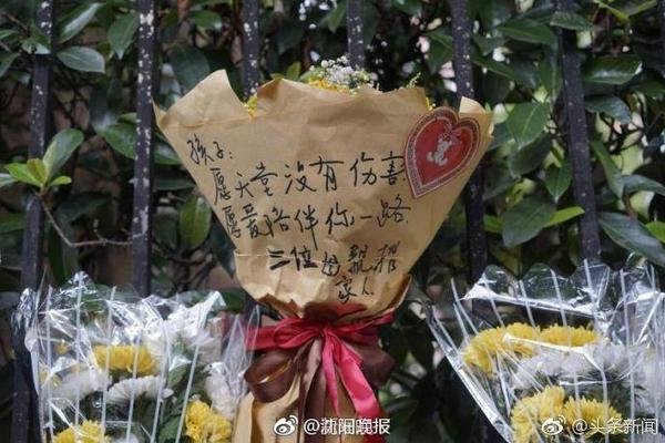 中国足协关于举办2025年“玫瑰绽放”训练营U10年龄组活动的通知